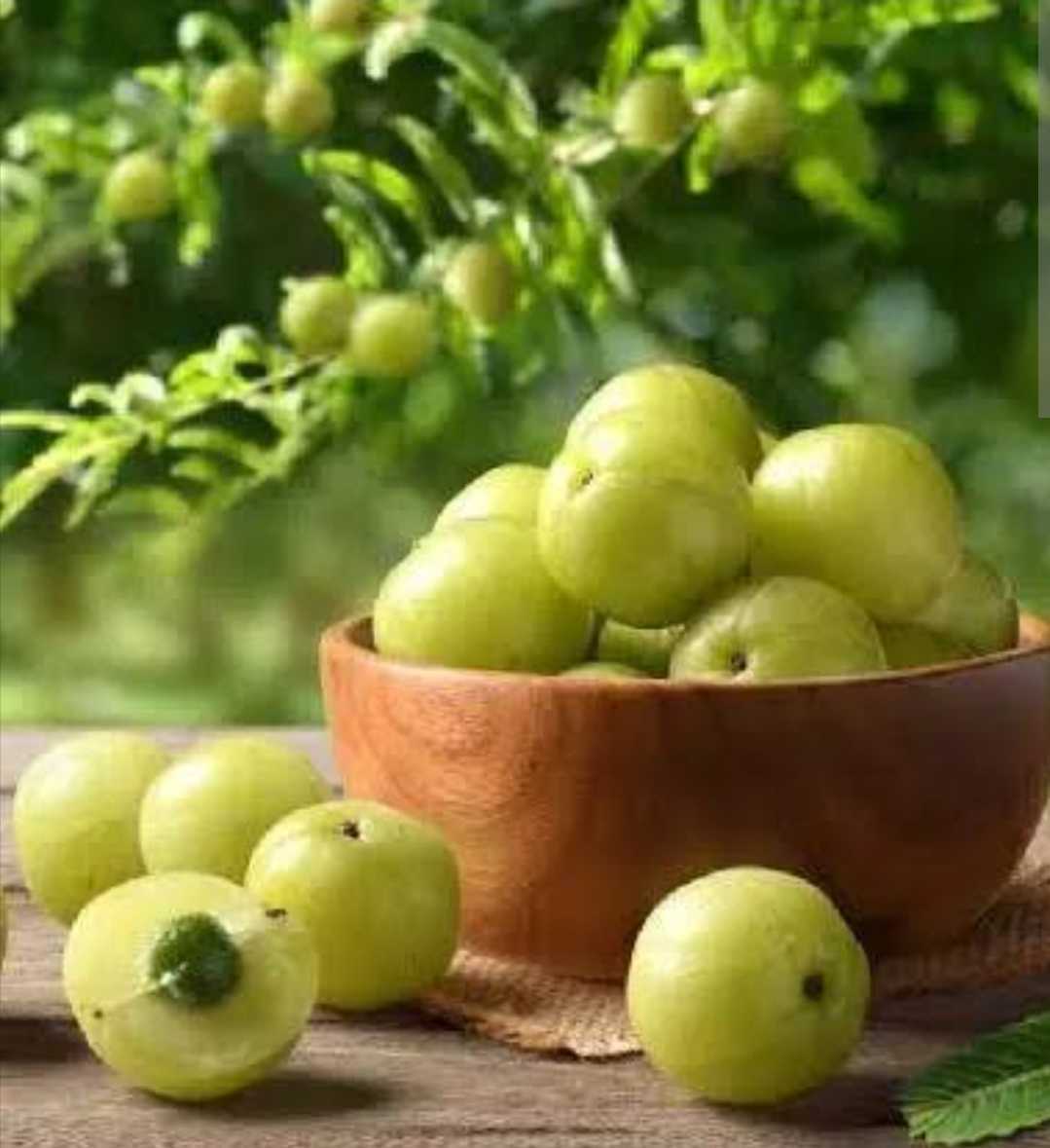 Nutrition